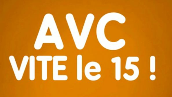 2013 AVC - 01 - Vite le 15